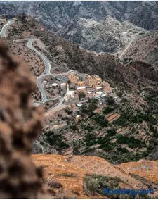 ROSES HOUSE OMAN - Image 3