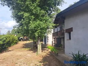 La casa del pi - Image 1