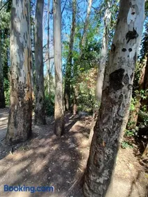 CASA SENDERO DEL RIO - Image 5