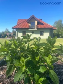 Pogodna Zagroda-Dom na Kaszubach & Strefa Spa - Image 3