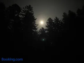 Baumzelt im Wald - Image 3
