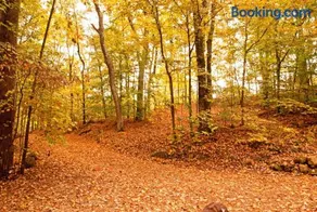 Timber Ridge - Image 3