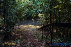 Miles Away - Image 4
