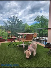 Apartamento Rural Lago Enol - Image 2