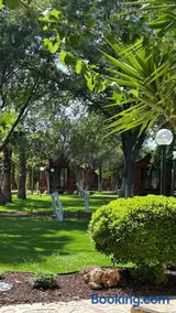 Dolce Vita Luxury Bungalows - Image 5