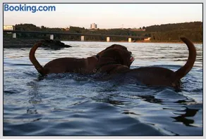 Bungalow direkt am Wasser - Image 3