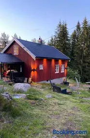 Drangedal Cabin House - Image 1