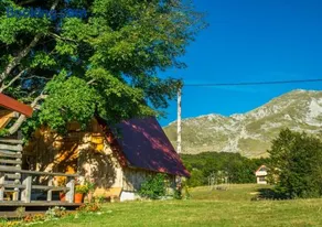 Maple village - Image 2