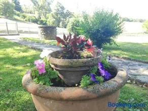 Villetta con giardino - Image 3