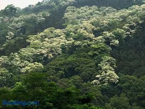 Chun Gu Farm - Image 2