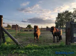 Vacation on the farm - Image 2