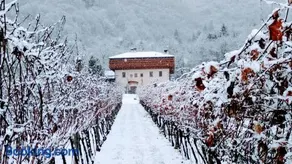 Agritur La Polentera - Image 2