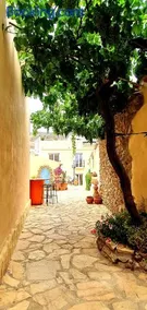 El Jardin Secreto - Image 3