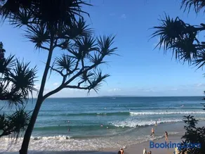 Orchard Cottage - modern Australian Sunshine Coast holiday cottage on organic farm nr beach - Image 3