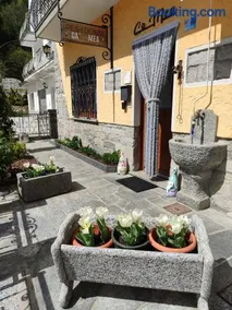 Cà MEA - Image 1