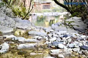 Sea Trail - Image 1