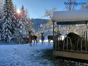 Bauernchalet Orainza - Image 3