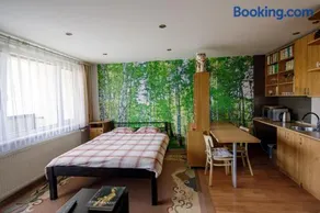 Apartmán Brezy - Image 2