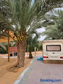RV Palm Oasis - Image 2