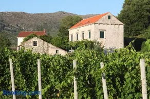 Villa Violić - Image 2