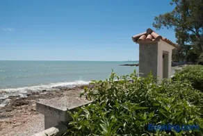 Sargantana Blava - Image 1