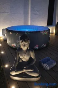 La Demeure du Faon en cœur de Sologne 10mn Lamotte-Beuvron, gîte de charme avec jacuzzi et piscine , proche Center Parc Beauval Châteaux de la Loire Orléans - Image 2