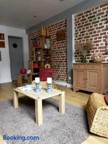 spéculoos et chicorée - Image 1