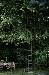 Treehouse escape - Image 4