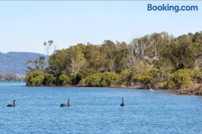 4 Bedroom modern house opposite Wallis Lake - Image 3
