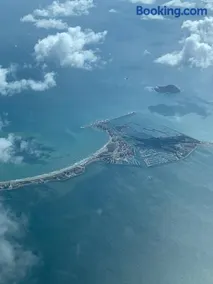Las Palmeras - Image 5