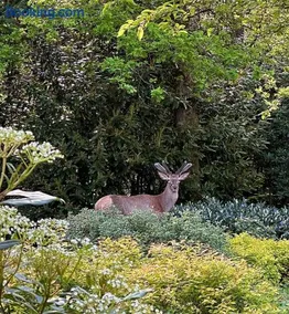 Vakantiehuis Bos en Hei Veluwe - Image 3