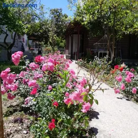 Villa Beyazıt - Image 5