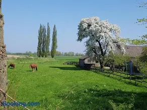 Het Voorhuis boerderij Hoeve Vrede Best - Image 3