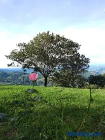 Chalé Tarumã - Image 3