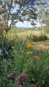 Domaine Lapèze - Image 3