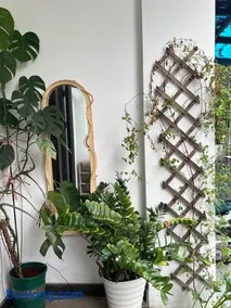 Mây Huế Homestay - Image 1