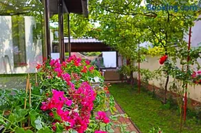 Ana's home - Image 1