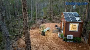 Luxury Tiny Homes in the Forest - Image 3