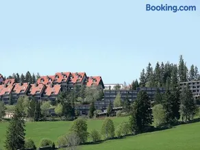 Appartmentvermietung Terrassenpark Schonach - Image 1