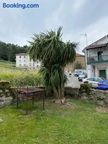 Casa Gin Tazones - Image 3