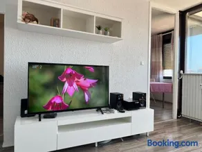 Bright apartment Bloom - free parking and WiFi - Image 4