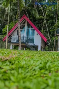 Puwak sewana cabana and resort පුවක් සෙවන - Image 1