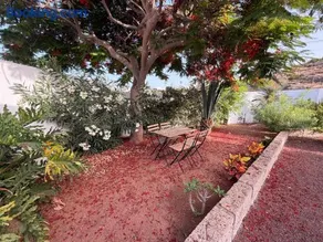 The Hidalga's cozy house - Image 3