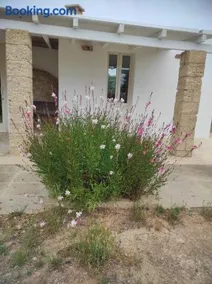 Trullo Contrada Specchi - Image 1