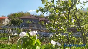 Spring Village Home - Image 1
