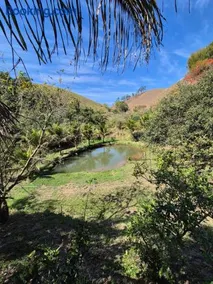 Sítio em vassouras - Image 4