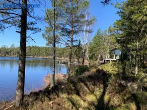 Sävsjön - Image 2
