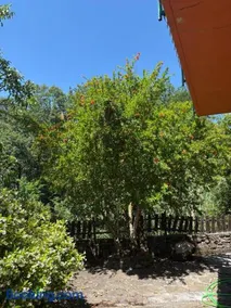 Casa Bellavista - Image 3