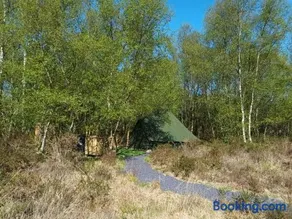 Green woodland bell tent - Image 4