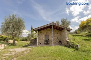 La casina degli olivi - Image 4